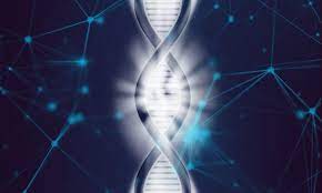 Precision Medicine vs. Personalized Medicine: What's the Difference?