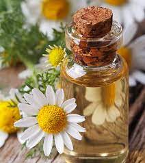 Report on Chamomile Oil Market Research 2027 - Value Market Research