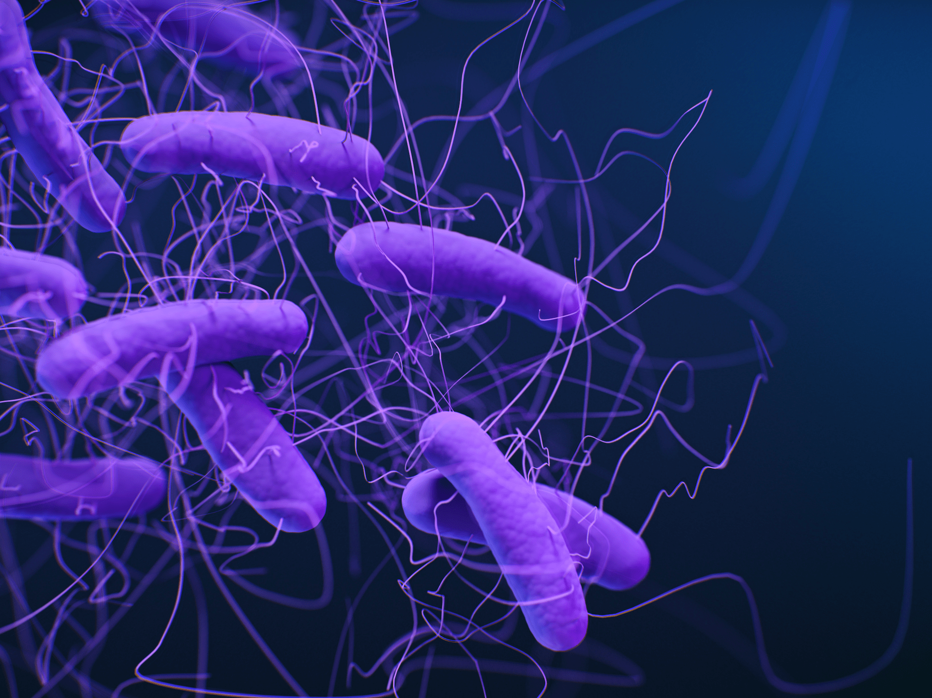 Clostridium Difficile Immunoassays Market Size, Status, Growth | Industry Analysis Report 2022-2028