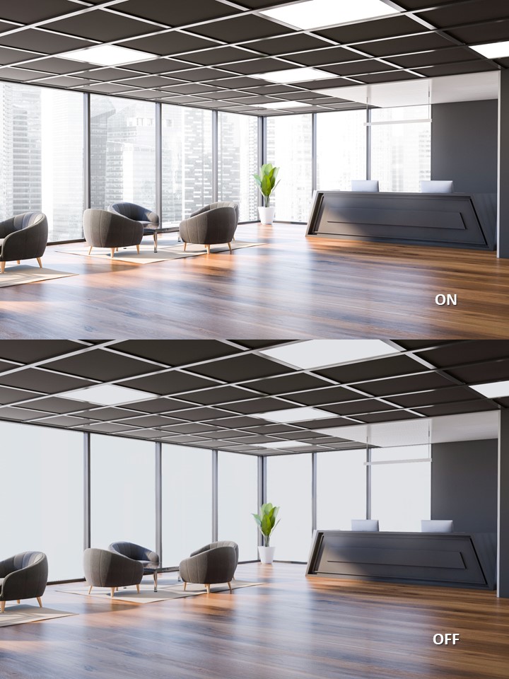 Switchable Glass
