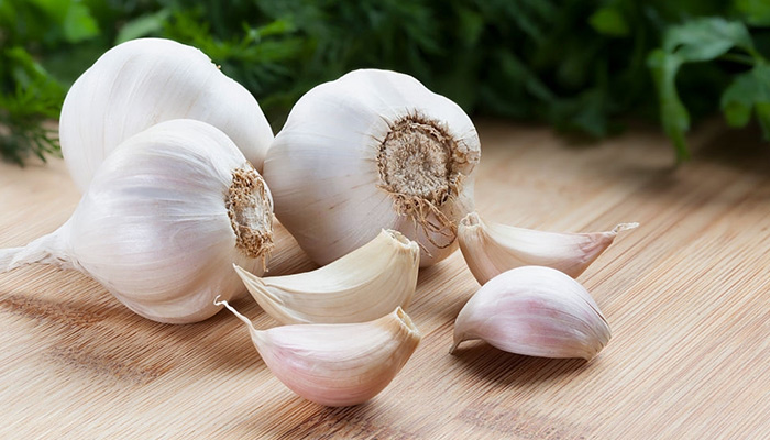 Global research and market analysis on Garlic  |Foodresearchlab