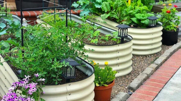 4 major reasons why you should look for raised garden beds for sale online in 2022