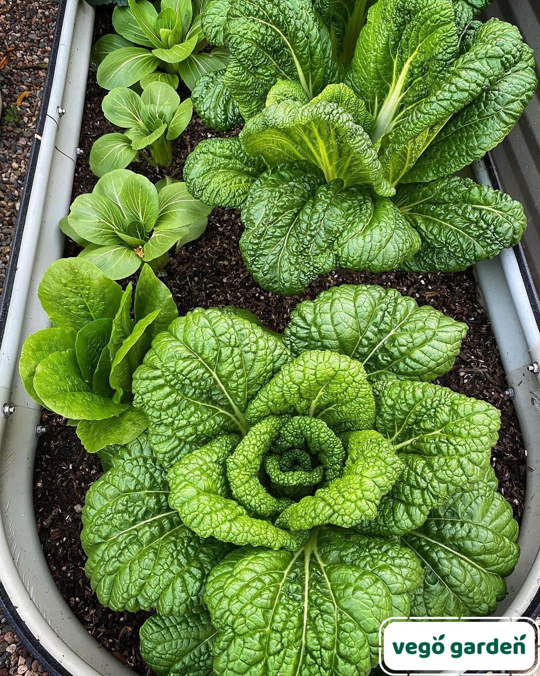 What's The Best Way To Create A Raised Garden Bed?