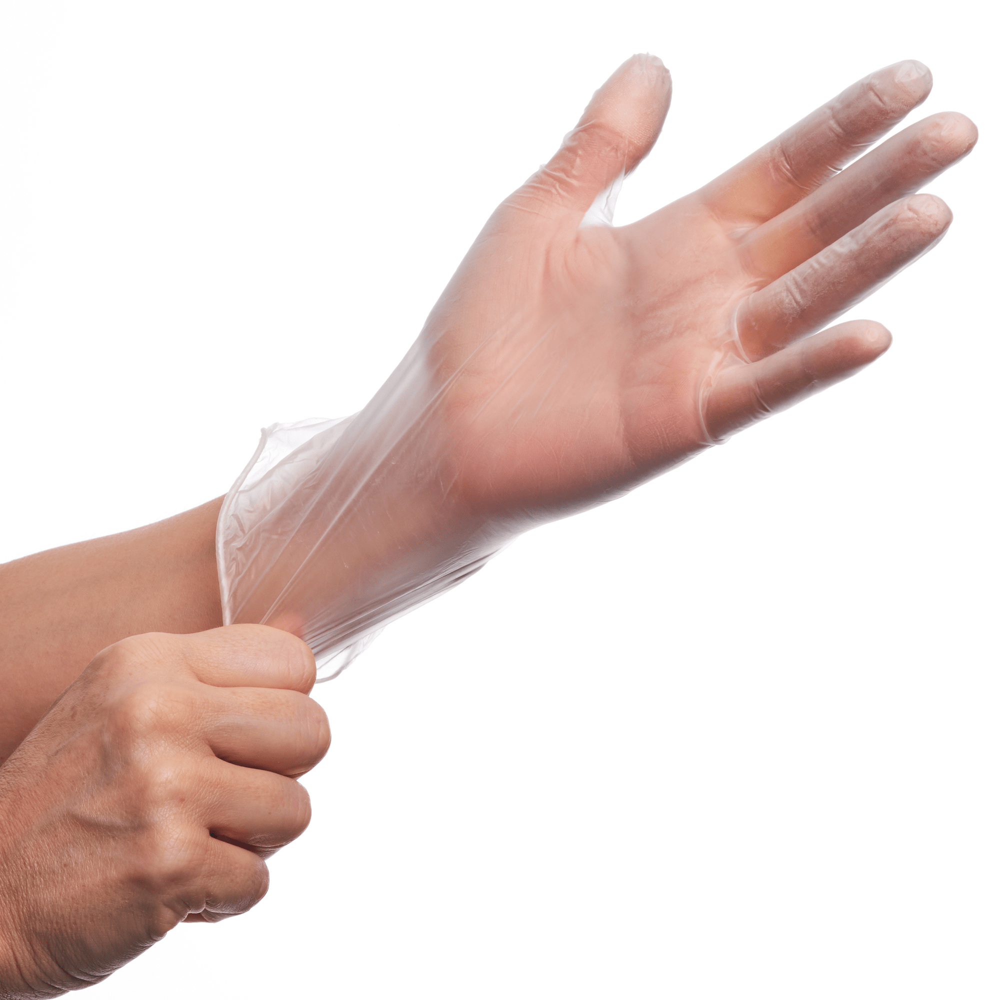 Vinyl Gloves | Disposable Vinyl Exam Gloves | Penguinhealth