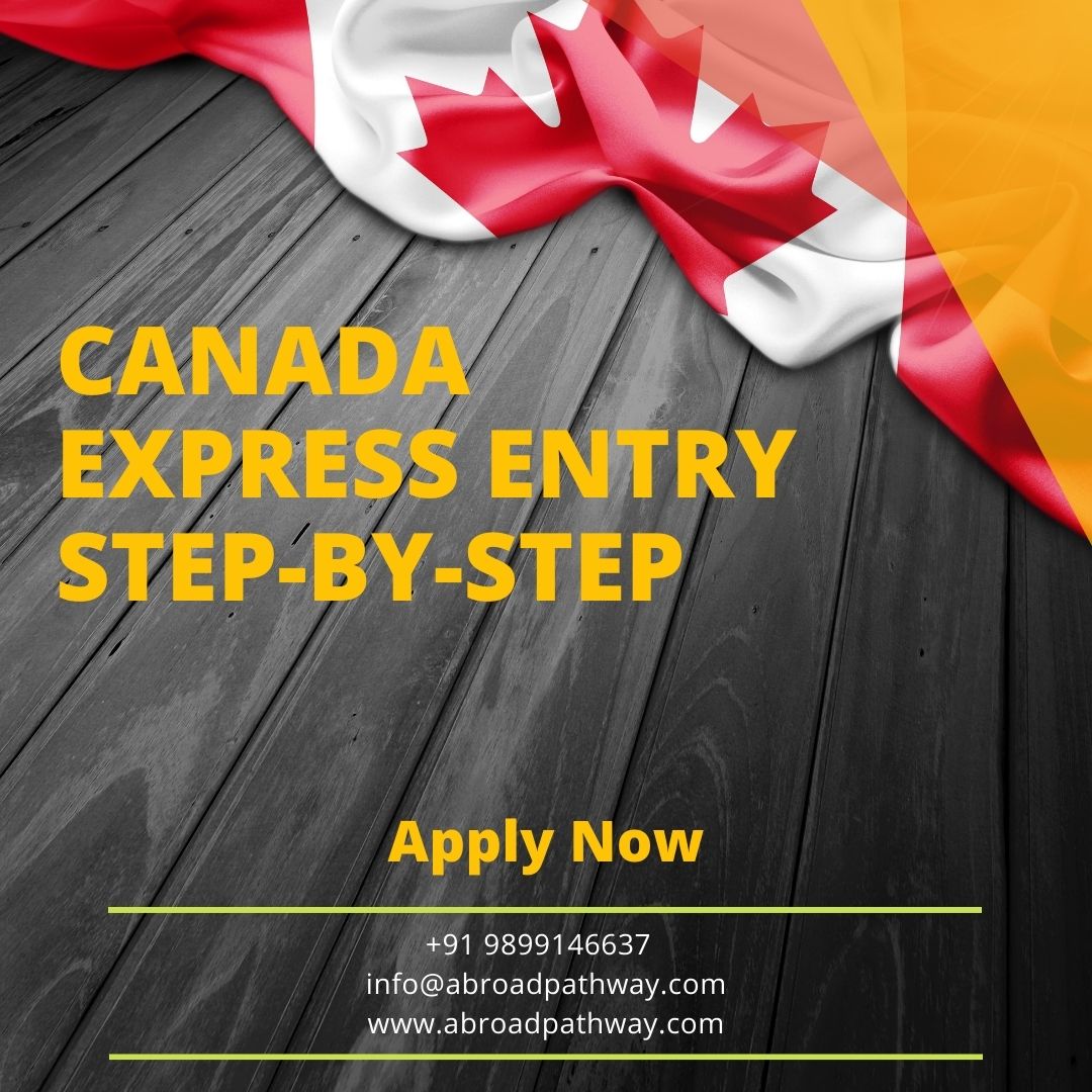 Canada Express Entry Process | Check your Eligibility and Points