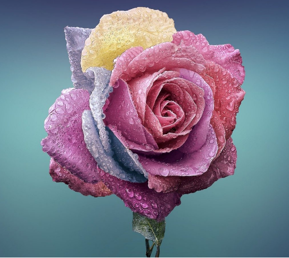 Bring a Beautiful Smile on Your Face with Online Flowers Delivery | Paradiseflowersnyc.com 