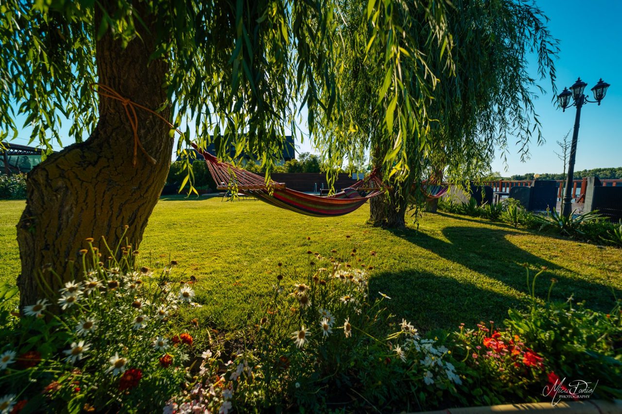 Obțineți Cazare De Lux în Delta Dunării