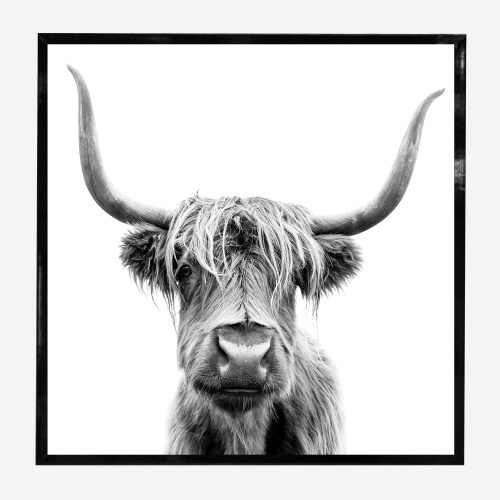 How to Create Animal Artwork That Stands Out