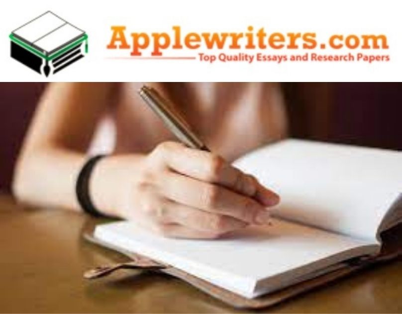 Essay Writing Company: A New Approach To Help University Students