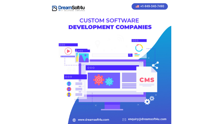 Custom Application Development Company