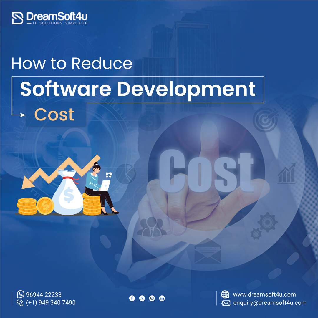 How to Reduce Software Development Cost?