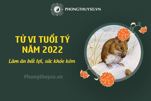 Tử vi tuổi Tý năm 2022