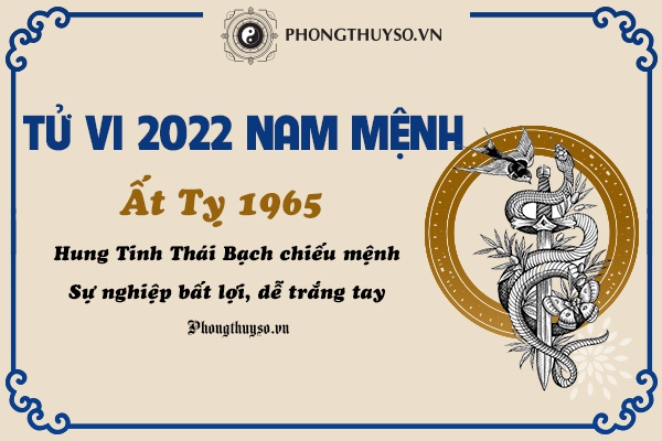 Luận tử vi tuổi Ất Tỵ nam mạng năm 2022
