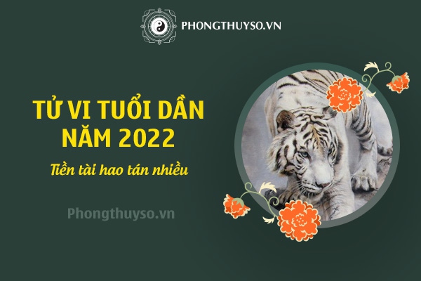 LUẬN TỬ VI TUỔI DẦN NĂM 2022