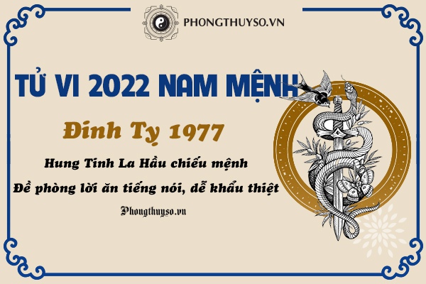 Bói tử vi tuổi Đinh Tỵ năm 2022 nam mạng