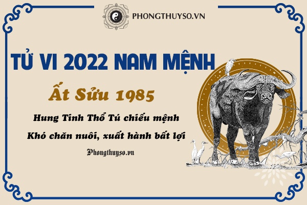 Luận tử vi tuổi Ất Sửu năm 2022 nam mạng