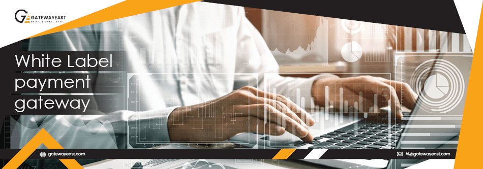 Why Does Your Business Require a White-Label Payment Gateway?