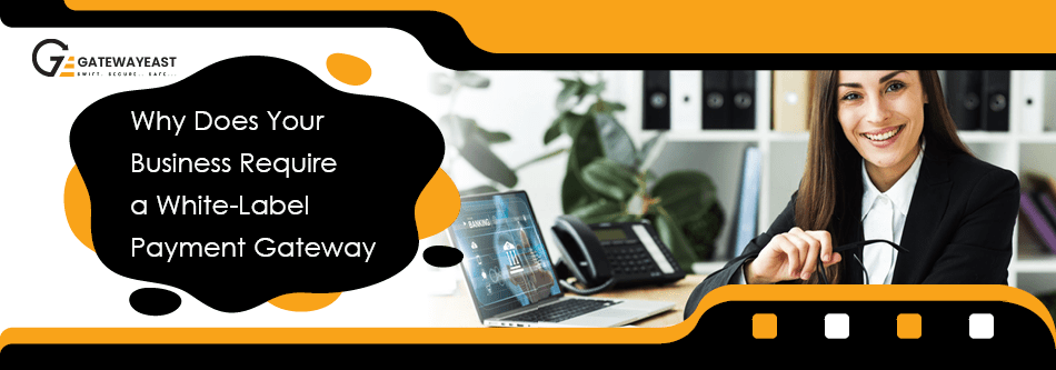 Start your own payment gateway business with White-label Payment Solutions