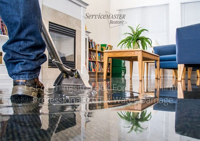 List of Things to Look For Before Hiring Professionals to Fix Water Damage