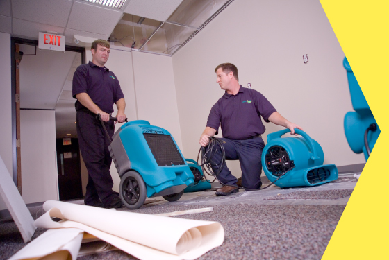 Top 5 Health & Structural Reasons Why Water Damage Should Be Best Handled By a Professional