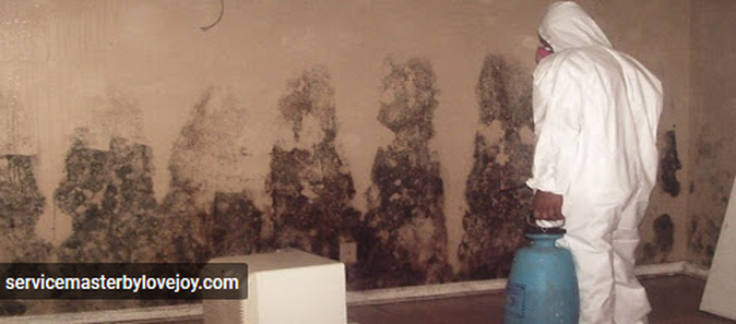 Mistakes To Avoid While Hiring Professional Residential Mold Removal!