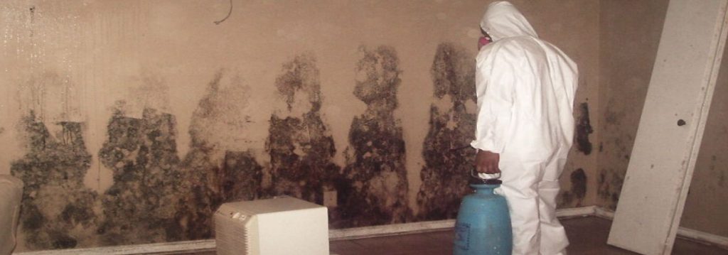 Know Everything About Mold Removal & Its Effective Remediation Procedures