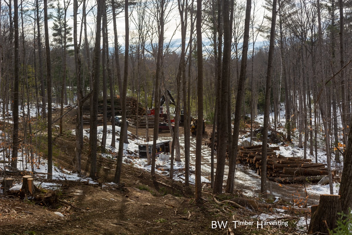 Land Clearing Vermont