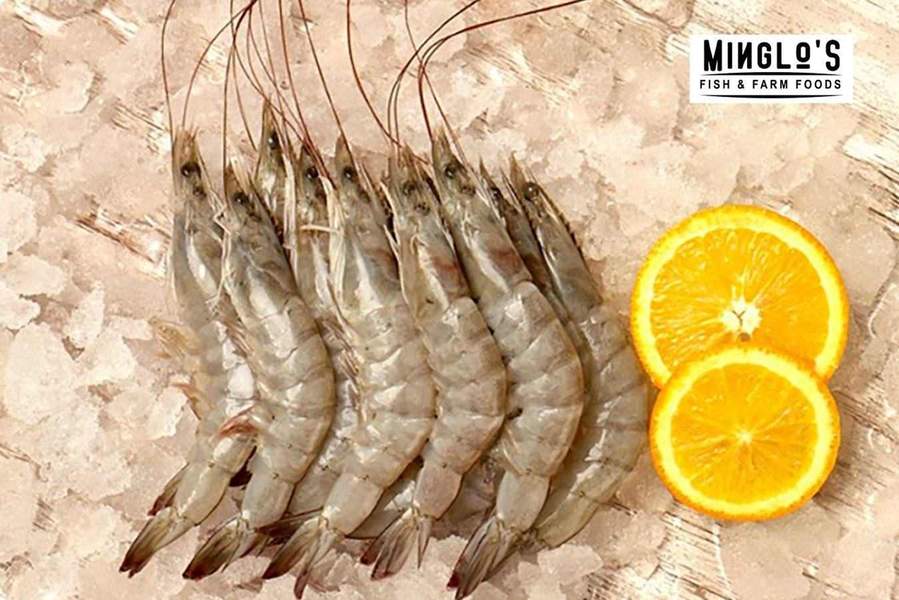 How Online Seafood Delivery Can Take Grocery Shopping to the Next Level