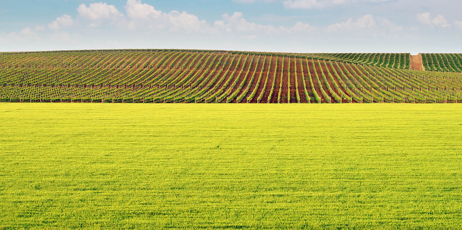 prismabg.com - Косачка за трева