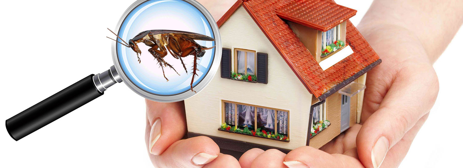 Why Businesses Should Trust Industrial Pest Control Provider?  