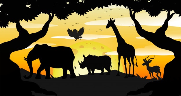 How Are National Parks Doing After Covid-19 Pandemic?