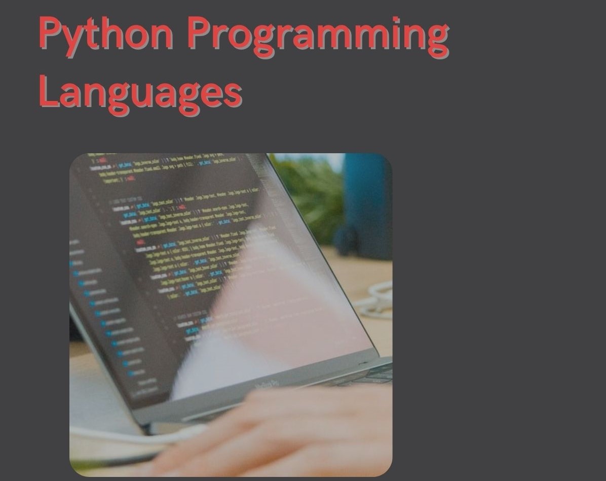 Python and other Programming Language