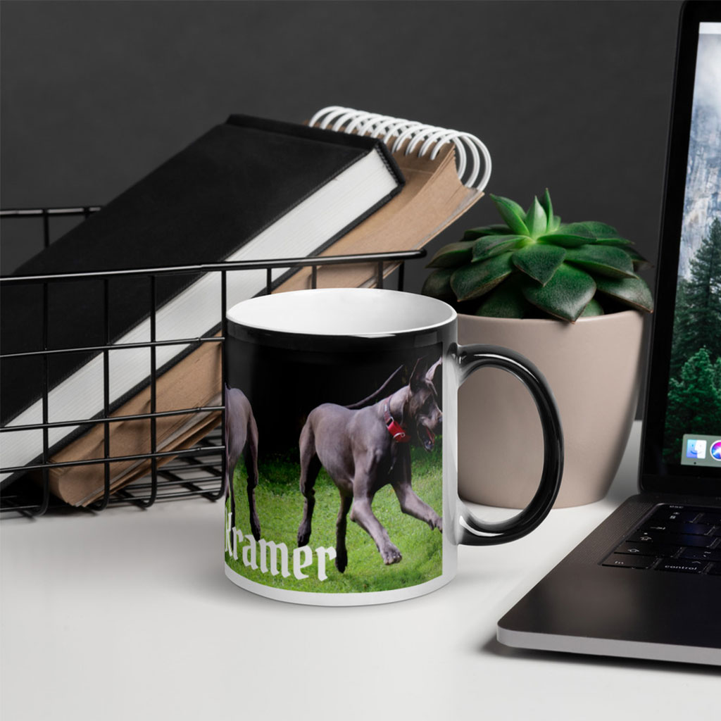 Beautify Your Pet with Pet Accessories
