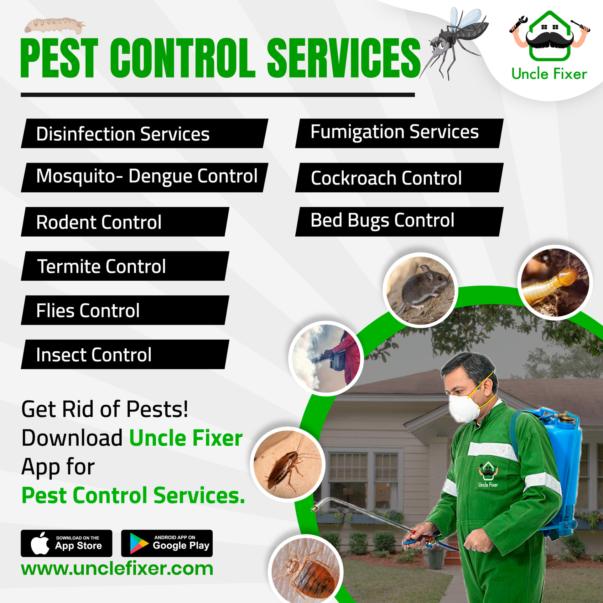 Termite Control Services – Uncle Fixer