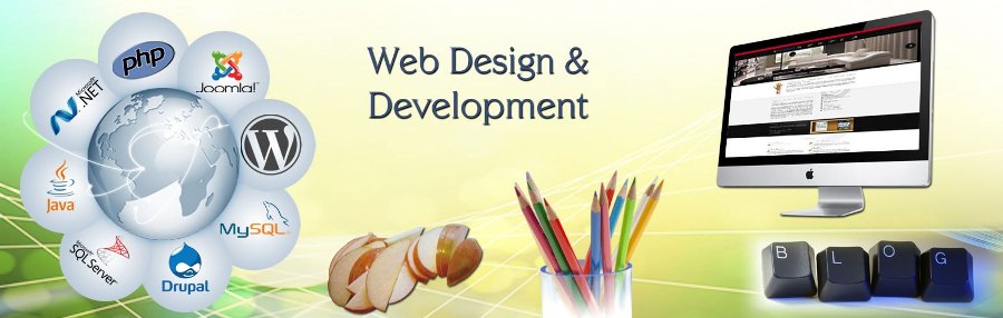 How to Opt For The Best Website Design Agency, Gurgaon?