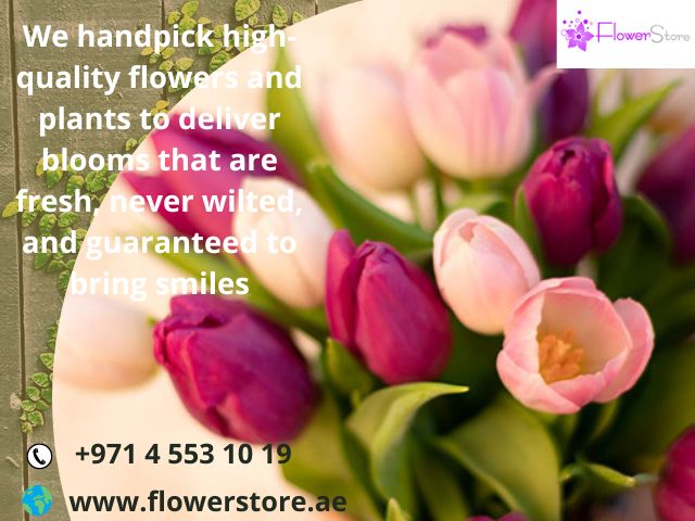 Make the day special for your loved one with the best flower shop in Dubai