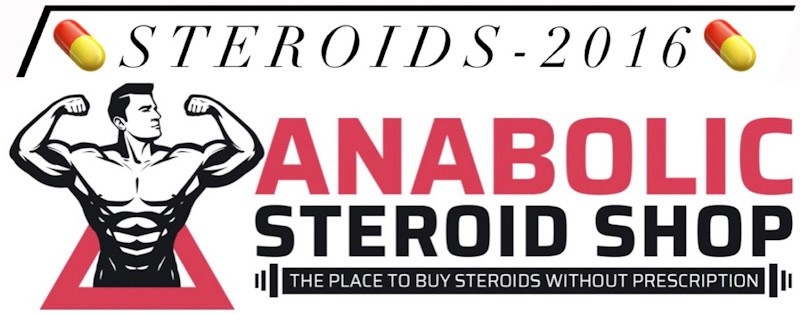Was sind die besten Steroid zyklen?