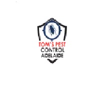 Pest Control 101: How To Deal With A Termite Infestation
