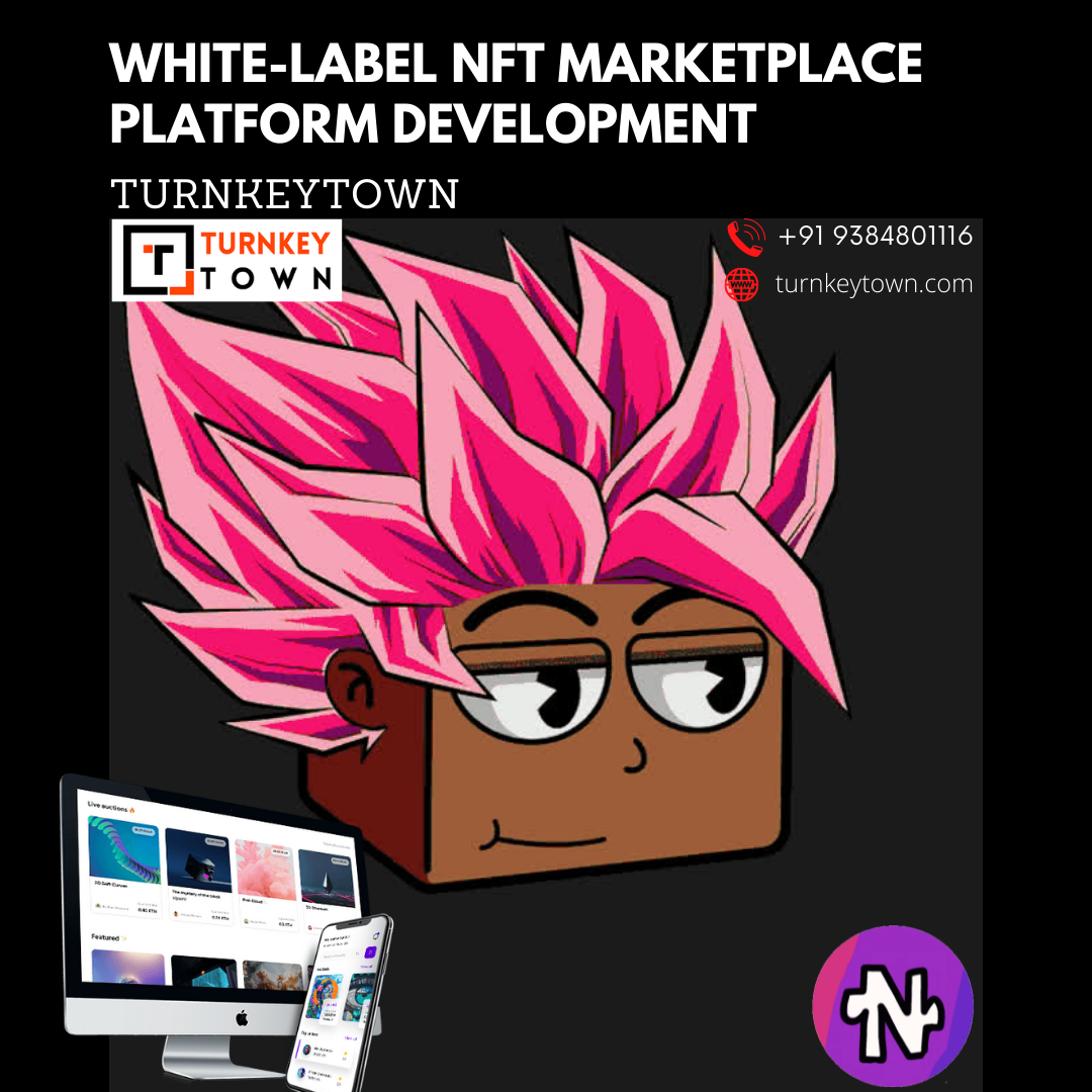 Elevate Your White-label NFT Marketplace Platform In The Leading Market