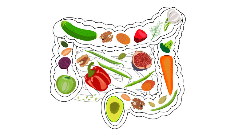 Gut Health | Wellness Health Nutrition Texas
