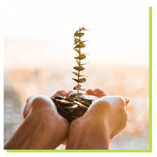 How to Set Up an SMSF | mkayassociates.com.au