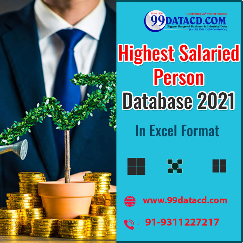 Indian HNI (High Income Person) Database in Excel Format