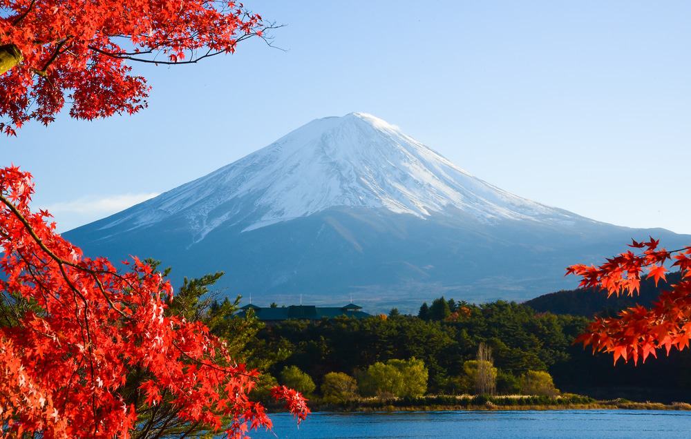 Tokyo Private Tours Makes Your Tokyo Tours Unforgettable and Ever Cherishing