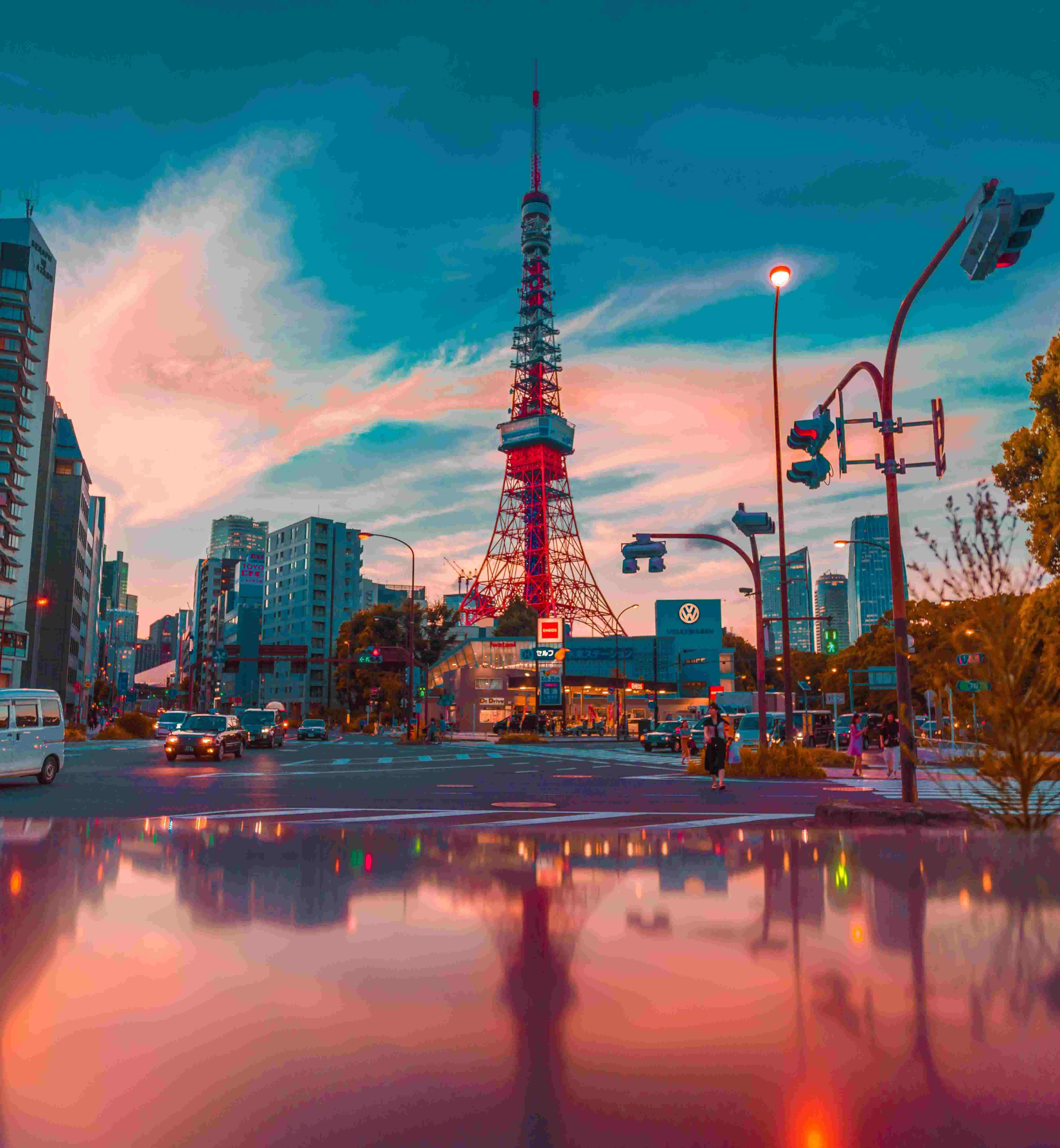 Tokyo Private Tours will Keep Your Privacy Intact!