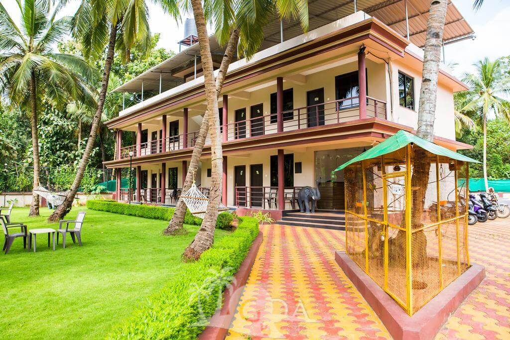 Lazy Frog Guest House:-