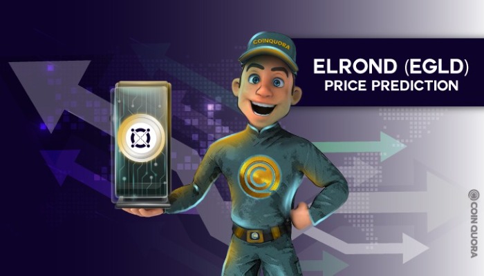Elrond Price Prediction – Will EGLD Price Hit $500 in 2022?