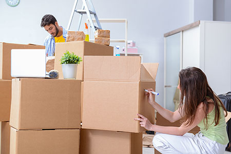 Hire Rapidex Worldwide Express for International Courier Services in Delhi