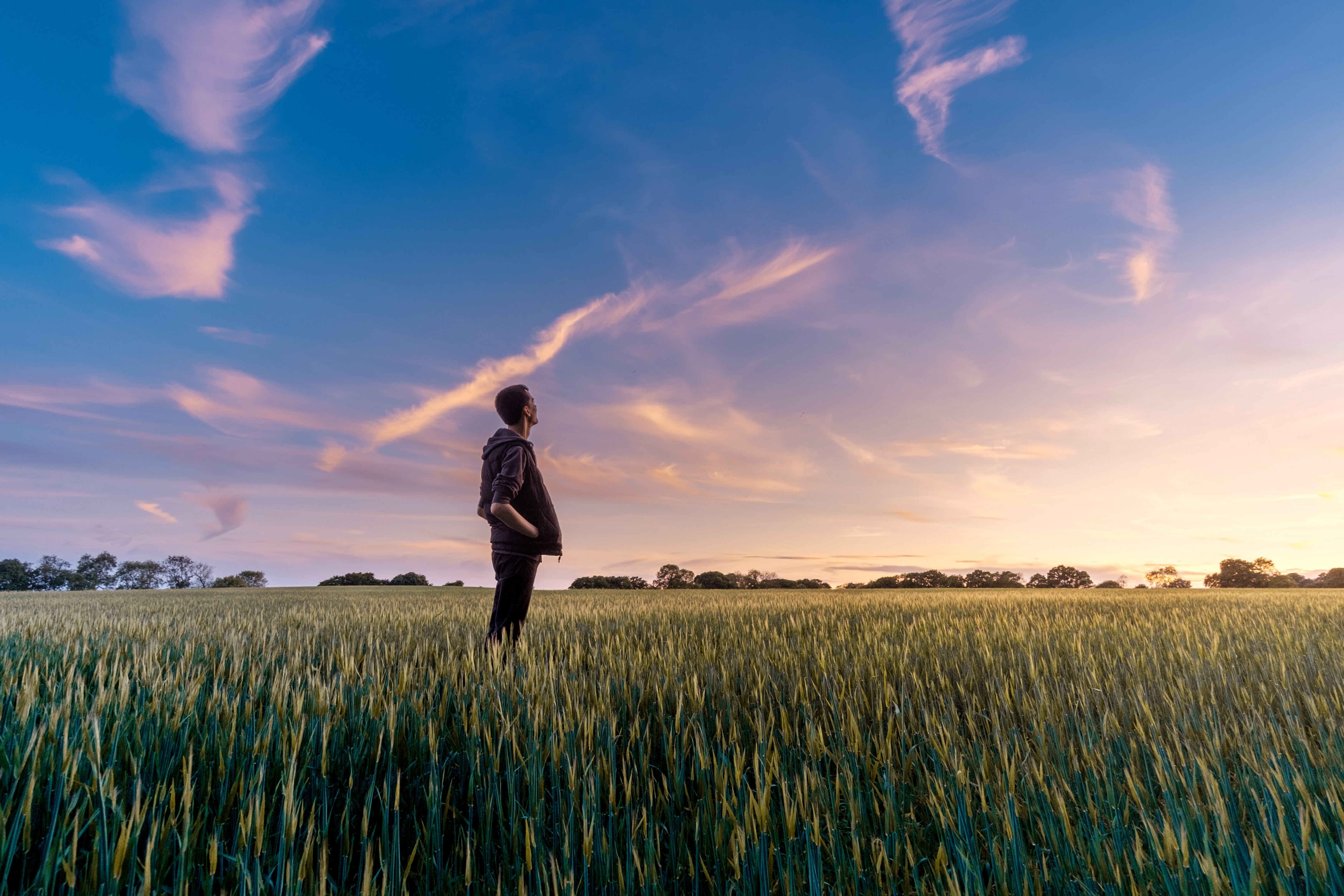 The Future of Public Cloud Services