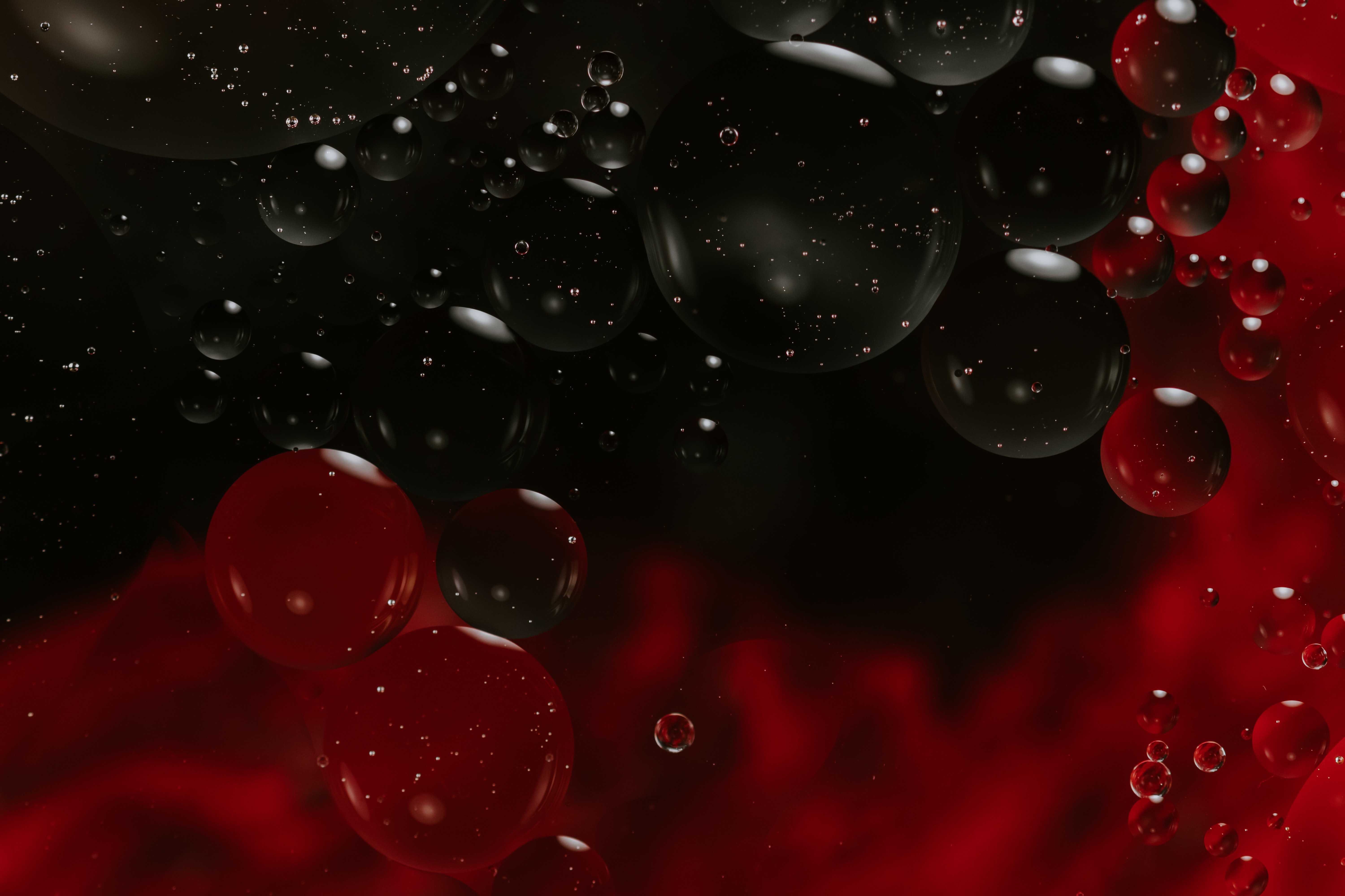 You Should Avoid These Ten Black Hat And Red Seo Strategies