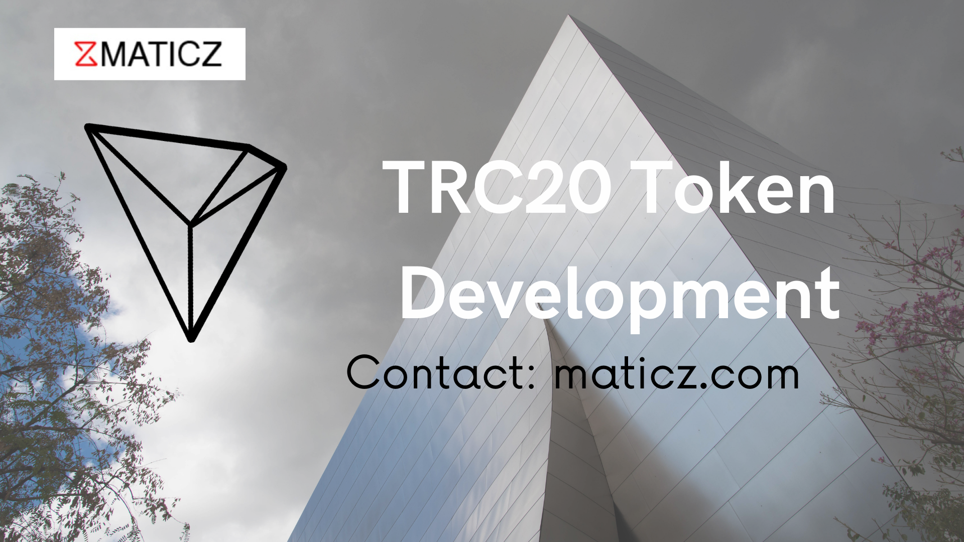 Build your Tron Token on best Tron Token Development Company